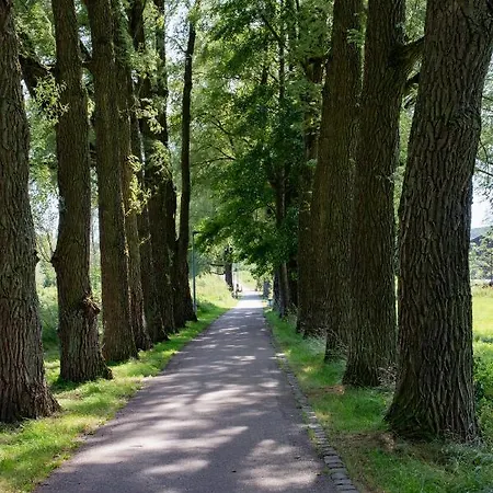 Gaestezimmer Aschenbrenner *