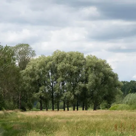 Gaestezimmer Aschenbrenner Affittacamere