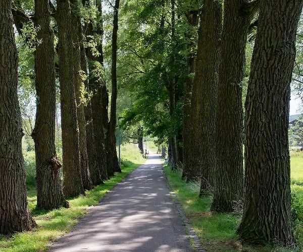 Gaestezimmer Aschenbrenner 3*