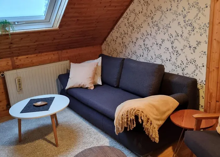 Gaestezimmer Aschenbrenner 3* באד רודאך